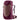 Deuter AC Lite 28 SL - Women's Wanderrucksack 59 cm (ashrose-cassis)