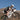 Cyclite Top Tube Bag / 03 - Rahmentasche (Bikepacking) 25 cm (light grey) - Bild 7