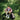 Cotopaxi Allpa 26L Daypack - Rucksack 52 cm (cotopaxi black) - Bild 7