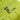 Roncato Skyline 2.0 - 4-Rollen-Trolley M 70 cm erw. (cyber lime) - Bild 8