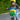 KLICKfix Lori Shopper - Fahrradtasche für Kinder (grün) - Bild 5